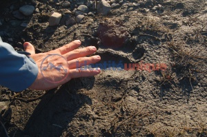 [89]cestovanie-alaskajpg.jpg
